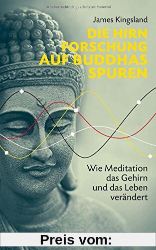 Die Hirnforschung auf Buddhas Spuren: Wie Meditation das Gehirn und das Leben verändert